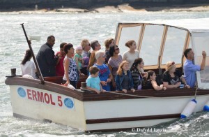 Dolphin Spotting Boat Trips